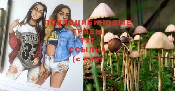 скорость Осинники